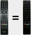 Original remote control RC4848