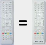 Original remote control RC4875 (23284829)