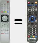Replacement remote control for TS5-R6 NETFLIX (759551858100)
