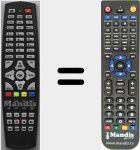 Replacement remote control for C1608