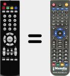 Replacement remote control for RG417DS1