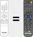Replacement remote control for RCN 621