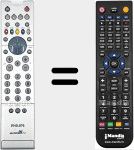 Replacement remote control for RC204801B (312814713981)