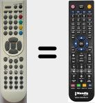 Replacement remote control for RC1900 (30065008)