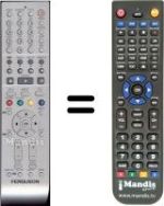 Replacement remote control Ferguson WHV3163