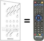 Replacement remote control 20 / 40 CHANNELS US