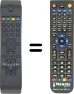 Replacement remote control Techwood TW 22916 B19 LED