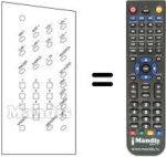 Replacement remote control 510.01.0131
