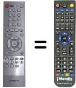 Replacement remote control Samsung TF 33C3D