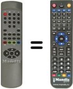 Replacement remote control RC2171