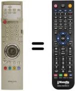 Replacement remote control 00308