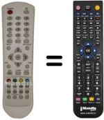 Replacement remote control Telesystem 23' YOUNG