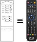 Replacement remote control RM 100
