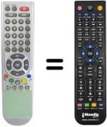Replacement remote control Irradio DSR 1021 FTA