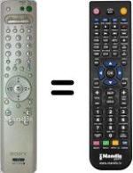 Replacement remote control RM-Y1002