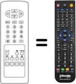 Replacement remote control RC2134