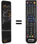 Replacement remote control RC6004