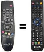 Replacement remote control RCS300
