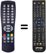 Replacement remote control Telesystem TS6213