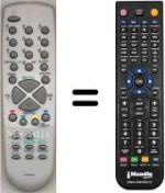 Replacement remote control WHV3140