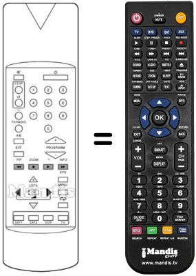 Replacement remote control 100 TS 034