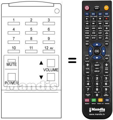 Replacement remote control 300.51293