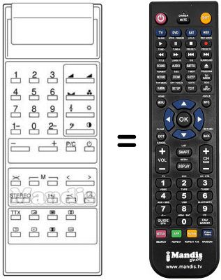 Replacement remote control 30 D 1