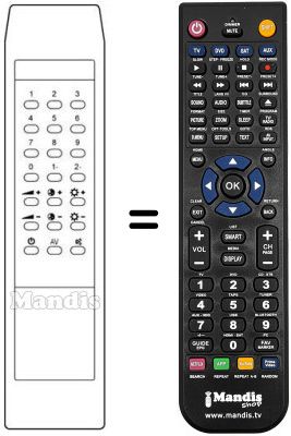 Replacement remote control 31009293