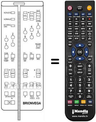 Replacement remote control 660.01.0191