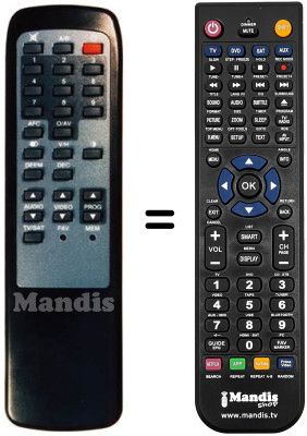 Replacement remote control 300 TS 002