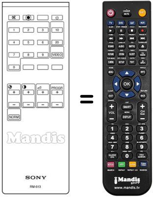 Replacement remote control RM-613 S