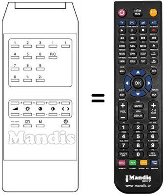 Replacement remote control PRINCE TVC 99 / 30