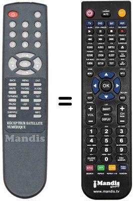 Replacement remote control VISIONIC VN 131