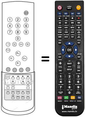 Replacement remote control RC2204A