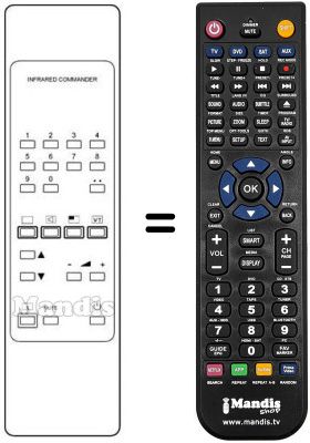 Replacement remote control RC300