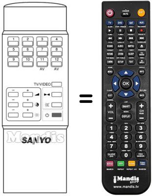 Replacement remote control RC304