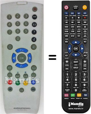 Replacement remote control Grundig HVS53318